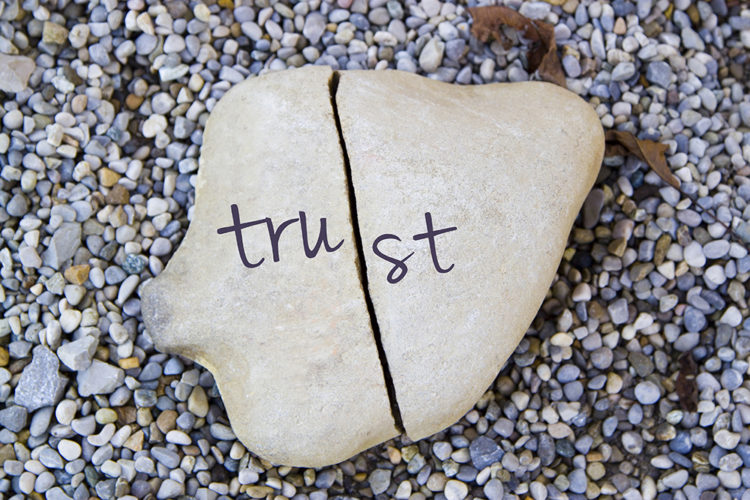 journey-of-trust-the-trusted-executive