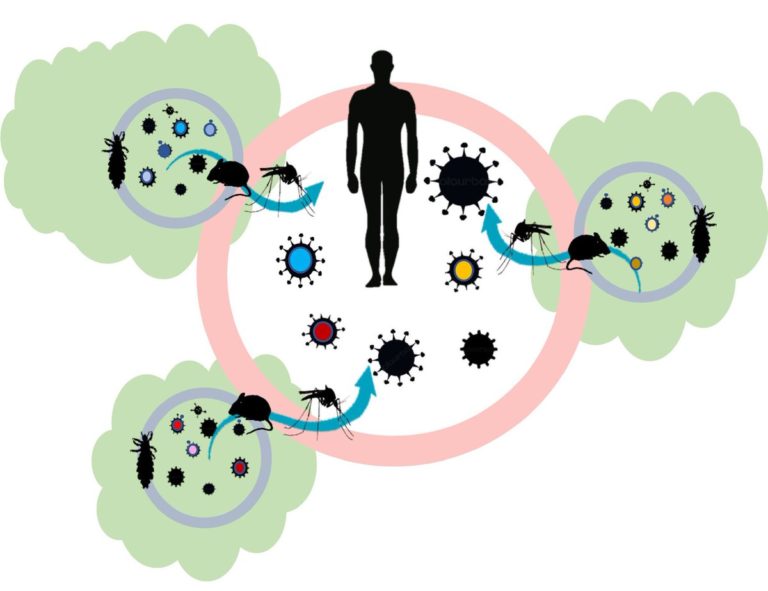 ON NOTIFIABLE DISEASES - ALBURO LAW OFFICES